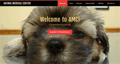 Desktop Screenshot of amccharleston.com